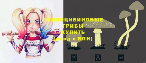 PSILOCYBIN Горнозаводск